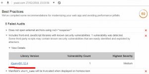 Lighthouse Warning Includes Front-End JavaScript Libraries With Known Security Vulnerabilities