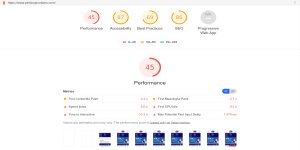 Pimlico Plumbers Website Review