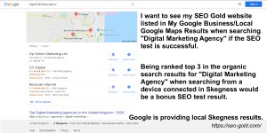 Skegness Local Digital Marketing Agency Google SERP